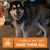 Jamie L Trudell's profile image