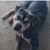 Mitzie Primeaux's profile image