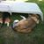 Michelle Smith Overturf's profile image