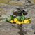 Jill Moffett's profile image