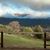 Stephanie Auerbach's profile image