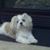 Vickie Greene's profile image