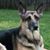 Tammy Woods's profile image