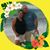 Louann Costanza Luft Przytakoski's profile image