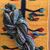 Maveh Vissers's profile image