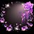 Sue Ashman's profile image