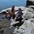 Cheryl Garthus's profile image