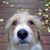Jim Kobetsky's profile image