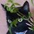Mary Beth Wilkinson's profile image