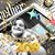 Sandy Iszler's profile image