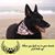 Catie Sawyer's profile image