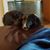 Jennifer Martin Lawson's profile image