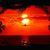 Bill Brown's profile image