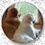 Stacey Sandeen Kulseth's profile image