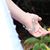 Colleen Puckett's profile image
