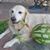 Stephanie Schnaible's profile image