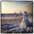 Susan Hintz's profile image