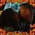 Jodi Imel's profile image