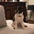 Janet Timperley Conroy's profile image
