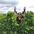 Nancy Dubord's profile image