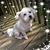 Pamela Light's profile image