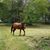 Deb Broderick's profile image