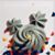 Amy Triche Madere's profile image