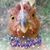 Tabitha Cottle's profile image