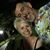 Gwendolyn Bartley's profile image