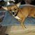 Tammy Phillips's profile image
