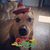 Sally Garnica Leedy's profile image