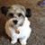 Susan Miller Thurman's profile image
