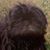 David R Hall's profile image
