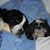Kerri Sharples's profile image
