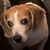 Corinne Trenske's profile image