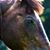 Sharon Monk's profile image