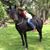 Anne Peters's profile image
