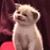 Birgit Williams's profile image