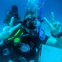 Nicole Noseworthy's profile image
