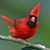 Don Edwards's profile image