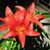 Bev Merriam's profile image