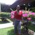 Corine Campbell's profile image