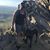 Tara Hollen Prieur's profile image