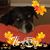 Sandra Black's profile image