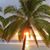 Harmony Hadlock's profile image
