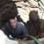 Mike Cortazar's profile image