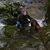 Linda Miller's profile image