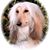 Sandy Blount's profile image