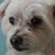 Denise Marie's profile image
