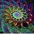 Debbie Williams's profile image